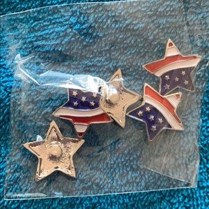 Large American Flag Gingersnaps